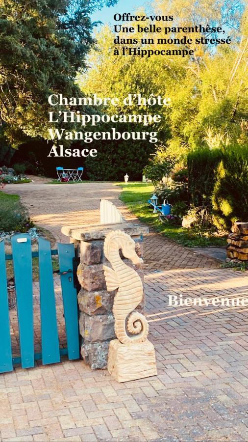 L'Hippocampe Apartment Wangenbourg-Engenthal Luaran gambar